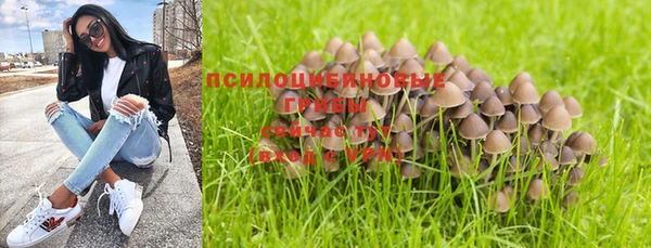 наркотики Алексин