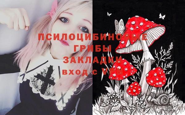 дмт Алексеевка