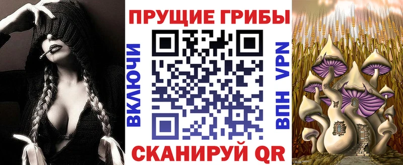наркотики  hydra зеркало  Галлюциногенные грибы мухоморы  Ковылкино 